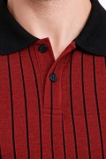 Erkek Polo Yaka Çizgili Tişört Kısa Kol Düğmeli Yazlık T-Shirt - Bordo