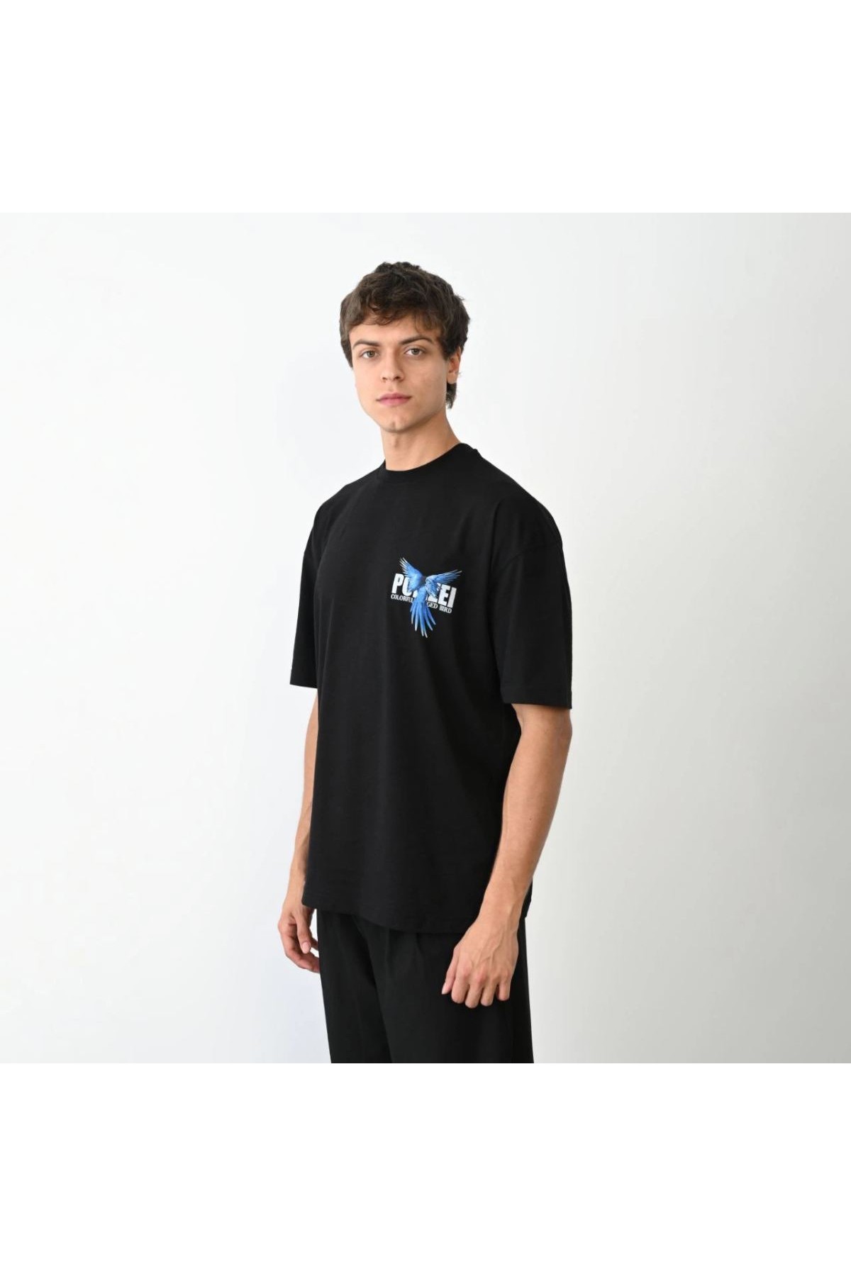 Erkek Baskılı T-Shirt Kısa Kol Bisiklet Yaka Regular Fit Rahat Kalıp Günlük Tişört - Siyah