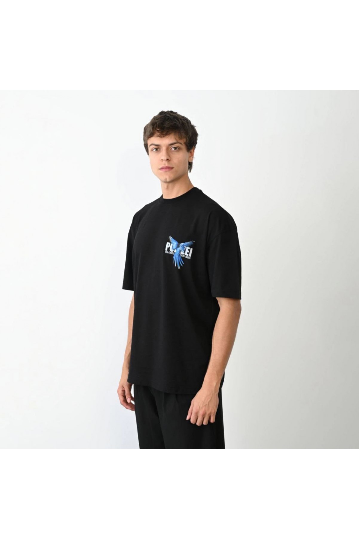 Erkek Baskılı T-Shirt Kısa Kol Bisiklet Yaka Regular Fit Rahat Kalıp Günlük Tişört - Siyah