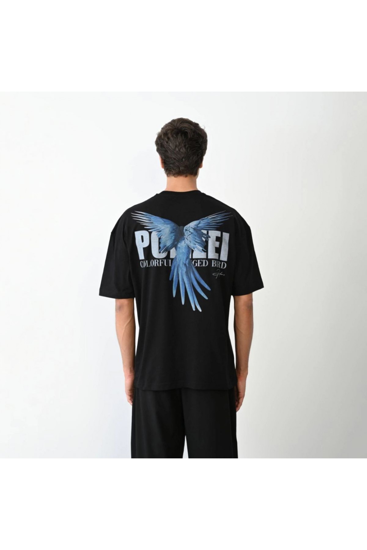 Erkek Baskılı T-Shirt Kısa Kol Bisiklet Yaka Regular Fit Rahat Kalıp Günlük Tişört - Siyah