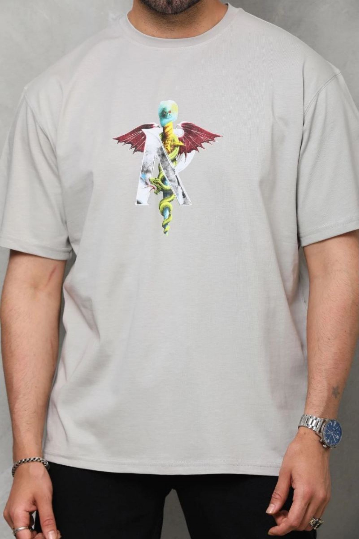 Erkek Baskılı T-Shirt Kısa Kol Bisiklet Yaka Regular Fit Rahat Kalıp Tişört -  Gri