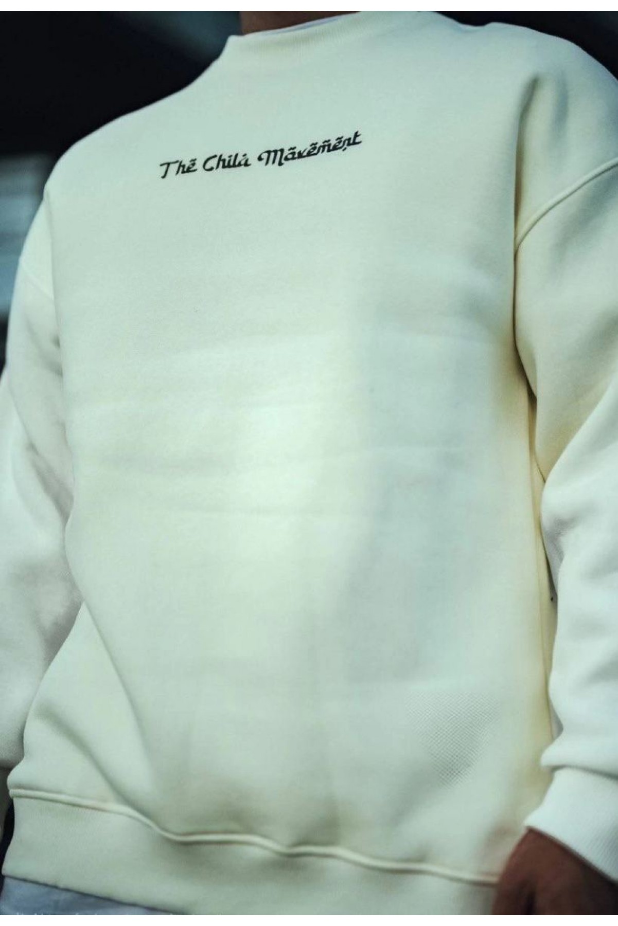 Erkek 3 iplik Pamuklu Bisiklet Yaka Baskılı SweatShirt - Beyaz