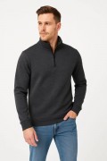 Erkek Dik Yaka Yarım Fermuarlı 3 İplik Pamuklu Sweatshirt -  Antrasit