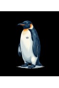 Kadın T-Shirt Penguen Baskılı Bisiklet Yaka Kısa kol yazlık Tişört - Siyah