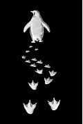 Erkek T-Shirt Nihilist Penguen Baskılı Bisiklet Yaka Kısa kol yazlık Tişört - Siyah